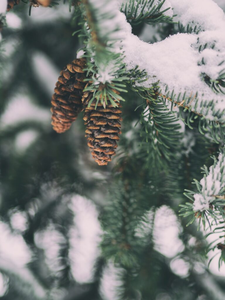 Hiver Mékinac paysages
