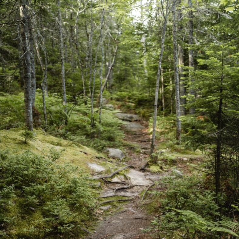 Mont otis parc des chutes