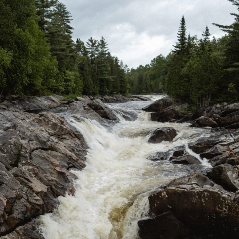 Parc des chutes